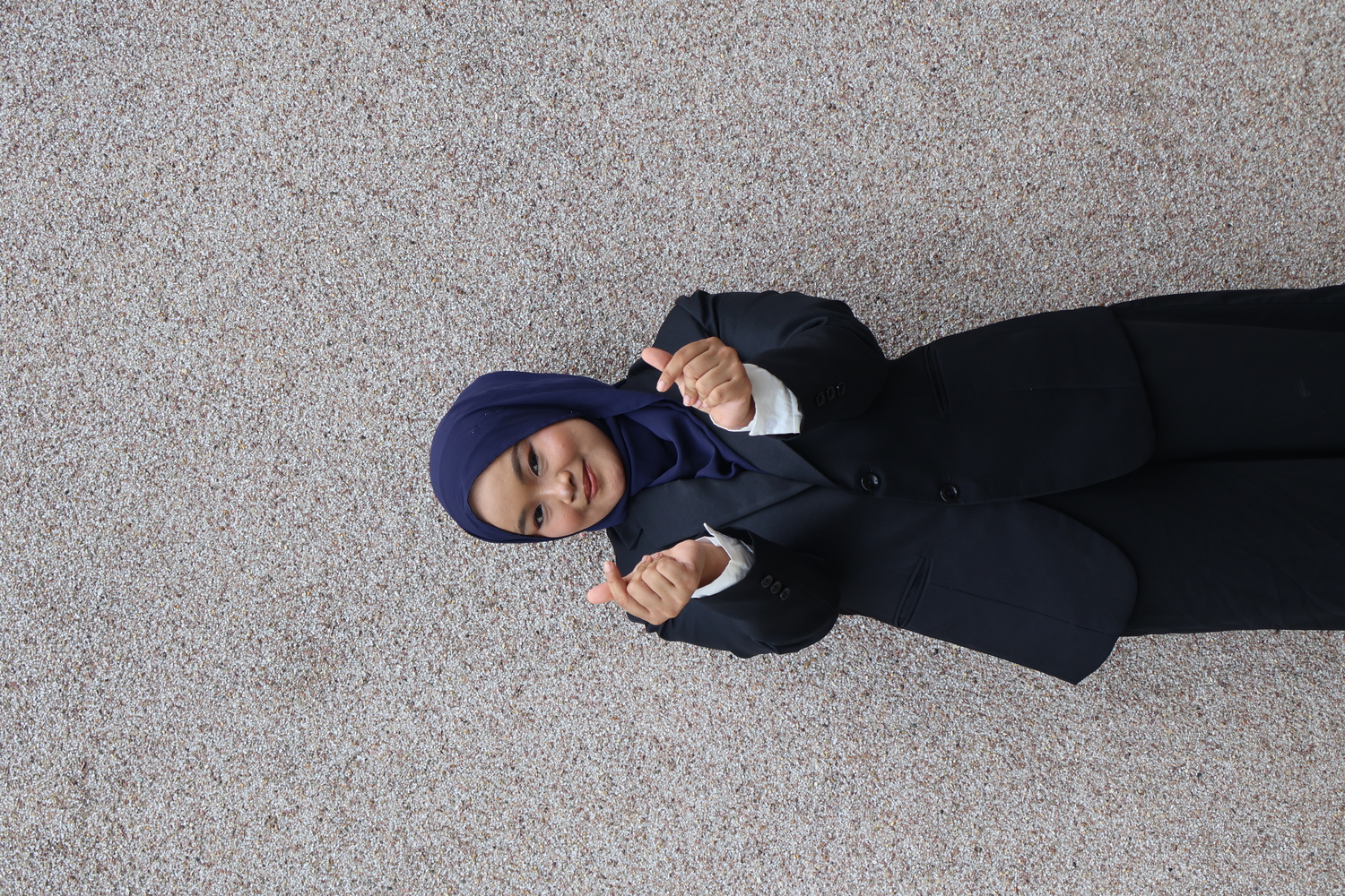 Anis